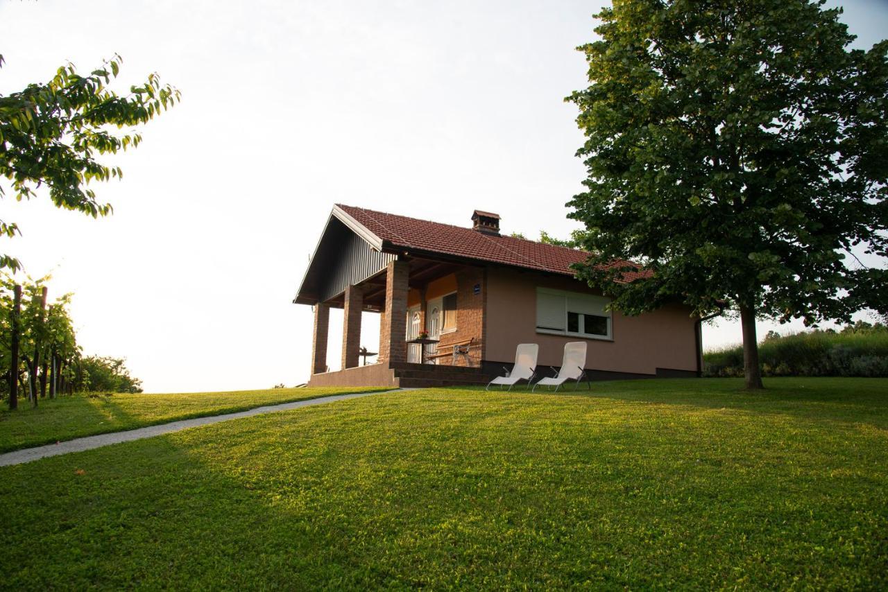 Guest House Blazevic Gornja Gracenica Eksteriør billede